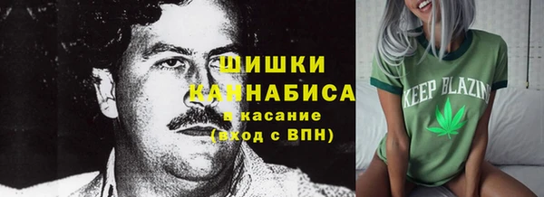шишки Алексин