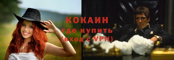 шишки Алексин