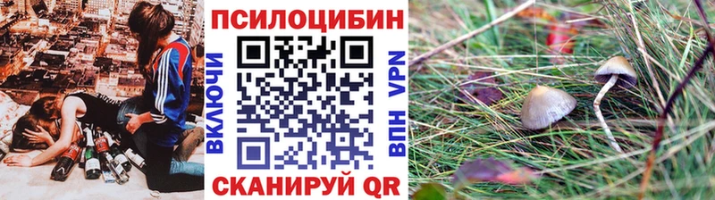 Галлюциногенные грибы GOLDEN TEACHER  купить наркотики сайты  Хвалынск 